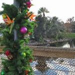 Featured image for old key west disney christmas decorations